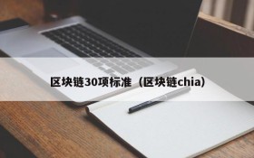 区块链30项标准(区块链chia)