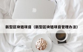 新型区块链项目（新型区块链项目管理办法）