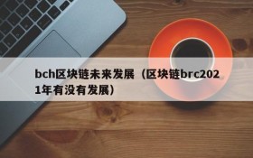 bch区块链未来发展(区块链brc2021年有没有发展)