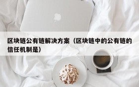 区块链公有链解决方案(区块链中的公有链的信任机制是)