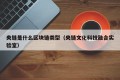 央链是什么区块链类型（央链文化科技融合实验室）
