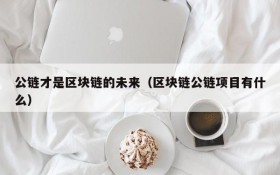 公链才是区块链的未来（区块链公链项目有什么）