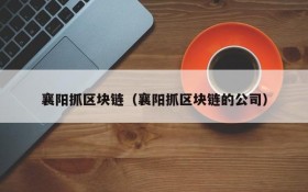 襄阳抓区块链（襄阳抓区块链的公司）