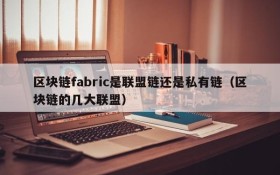 区块链fabric是联盟链还是私有链(区块链的几大联盟)