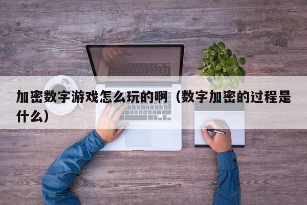 加密数字游戏怎么玩的啊（数字加密的过程是什么）