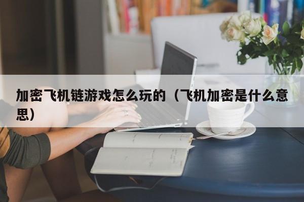 加密飞机链游戏怎么玩的（飞机加密是什么意思）