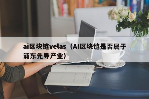 ai区块链velas（AI区块链是否属于浦东先导产业）