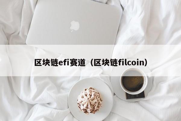 区块链efi赛道（区块链filcoin）