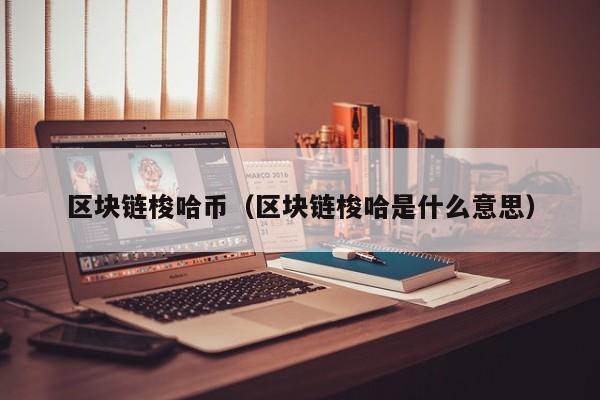 区块链梭哈币（区块链梭哈是什么意思）