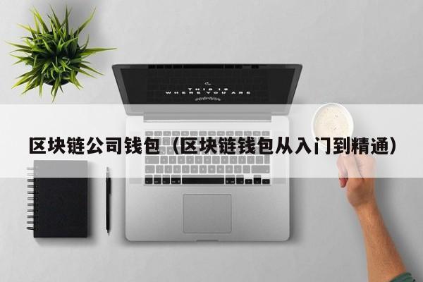 区块链公司钱包（区块链钱包从入门到精通）