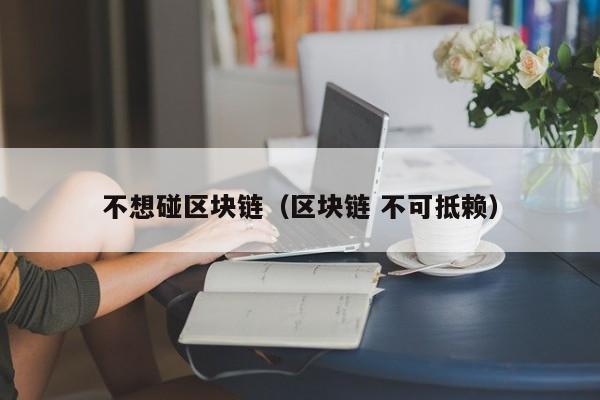 不想碰区块链（区块链 不可抵赖）