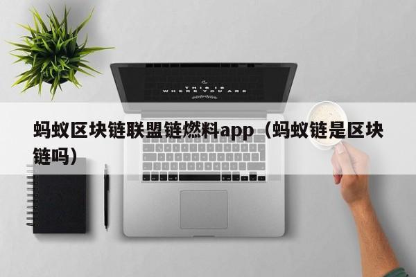 蚂蚁区块链联盟链燃料app（蚂蚁链是区块链吗）