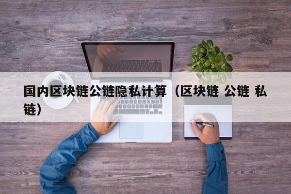 国内区块链公链隐私计算（区块链 公链 私链）