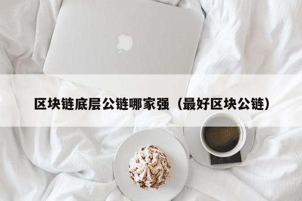 区块链底层公链哪家强（最好区块公链）