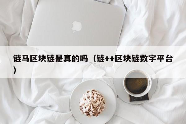 链马区块链是真的吗（链++区块链数字平台）