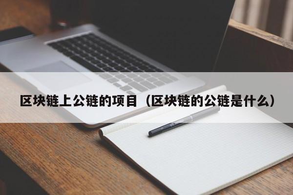 区块链上公链的项目（区块链的公链是什么）