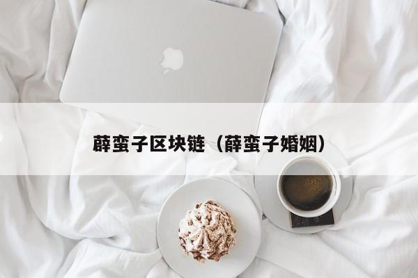 薜蛮子区块链（薛蛮子婚姻）