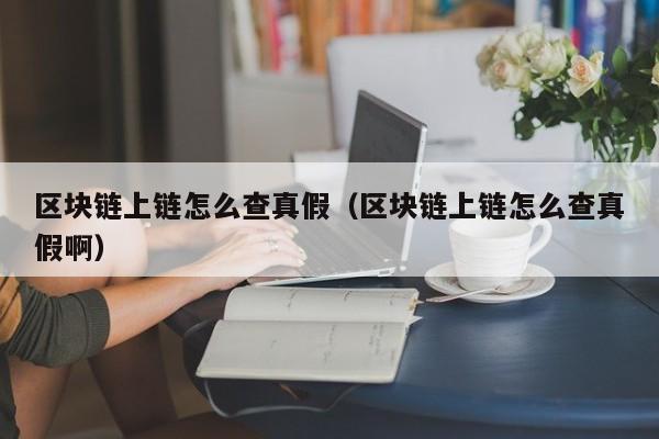 区块链上链怎么查真假（区块链上链怎么查真假啊）