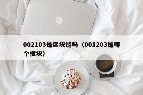 002103是区块链吗（001203是哪个板块）