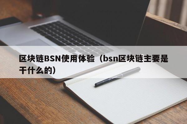 区块链BSN使用体验（bsn区块链主要是干什么的）