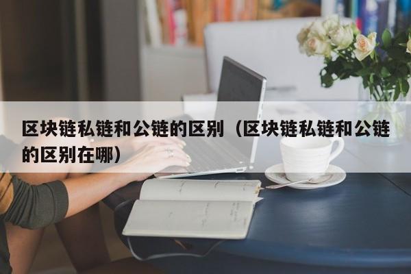 区块链私链和公链的区别（区块链私链和公链的区别在哪）