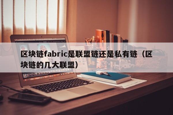 区块链fabric是联盟链还是私有链（区块链的几大联盟）
